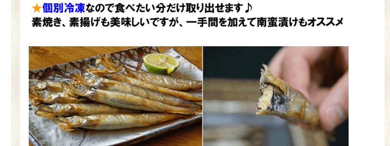 YAMATO �q���� �V�V���� ��銱�� 1kg �A�C�X�����h�Y
���T�C�g